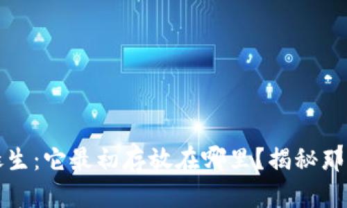 比特币的诞生：它最初存放在哪里？揭秘那古老的钱包