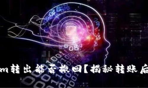 Tokenim转出能否撤回？揭秘转账后的真相
