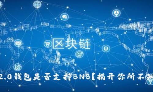Tokenim 2.0钱包是否支持BNB？揭开你所不知道的秘密！
