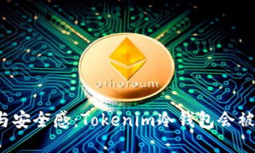 恐惧与安全感：Tokenim冷钱包会被盗吗？