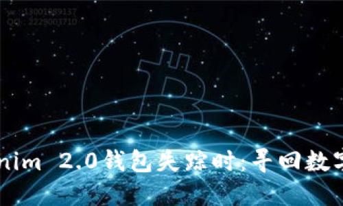 当你的Tokenim 2.0钱包失踪时：寻回数字资产的秘笈