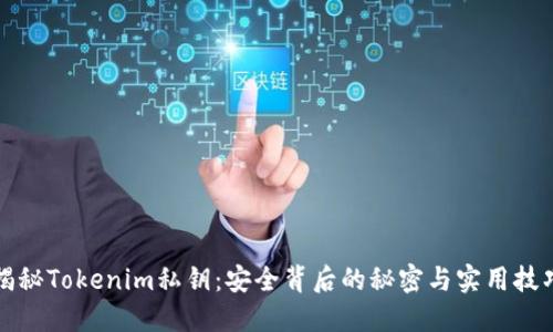揭秘Tokenim私钥：安全背后的秘密与实用技巧