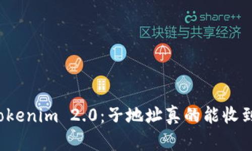 揭秘Tokenim 2.0：子地址真的能收到币吗？