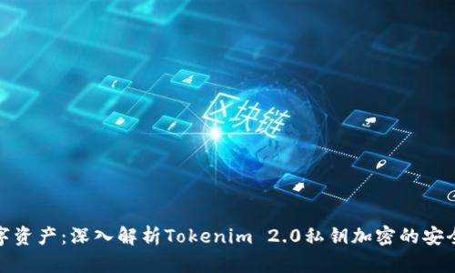 保护你的数字资产：深入解析Tokenim 2.0私钥加密的安全性与重要性