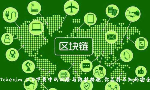 揭秘Tokenim 2.0下载中的风险与防护措施，你不得不知的安全真相