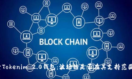 探索Tokenim 2.0钱包：波场链是否在其支持范围内？