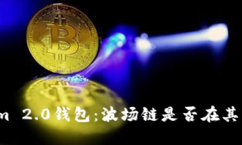 探索Tokenim 2.0钱包：波场链是否在其支持范围内？