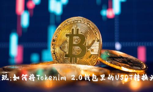 轻松变现：如何将Tokenim 2.0钱包里的USDT转换为现金？