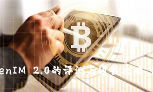 突破极限：深入解析TokenIM 2.0的评测与通关攻略，你准备好迎接挑战了吗？