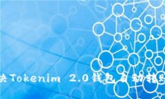 如何解决Tokenim 2.0钱包自动
