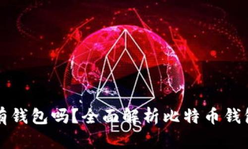 买了比特币会有钱包吗？全面解析比特币钱包的概念与操作
