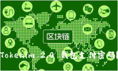 如何设置Tokenim 2.0 钱包支付密码？详尽指南