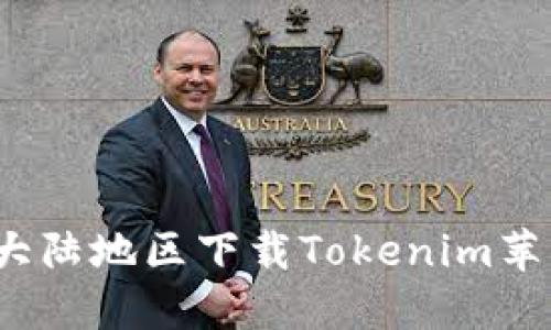 如何在大陆地区下载Tokenim苹果应用？