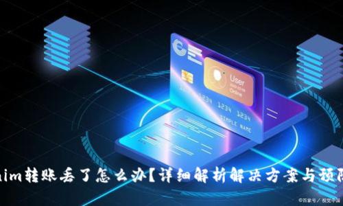 Tokenim转账丢了怎么办？详细解析解决方案与预防措施