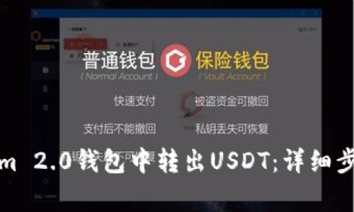 如何在Tokenim 2.0钱包中转出USDT：详细步骤与注意事项