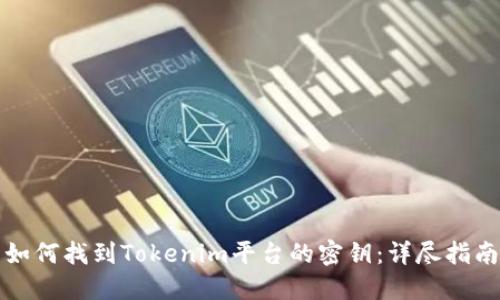 如何找到Tokenim平台的密钥：详尽指南