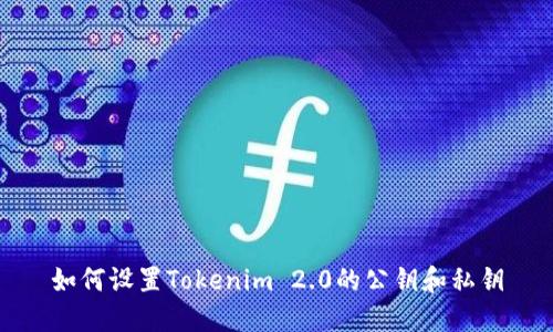 如何设置Tokenim 2.0的公钥和私钥