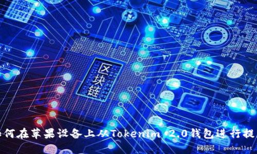 如何在苹果设备上从Tokenim 2.0钱包进行提款