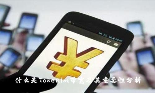 什么是Tokenim带宽及其重要性分析
