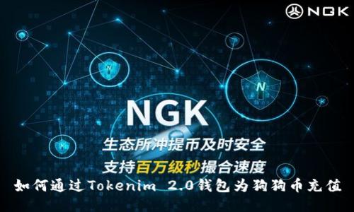 如何通过Tokenim 2.0钱包为狗狗币充值