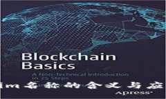 Tokenim名称的含义与应用探