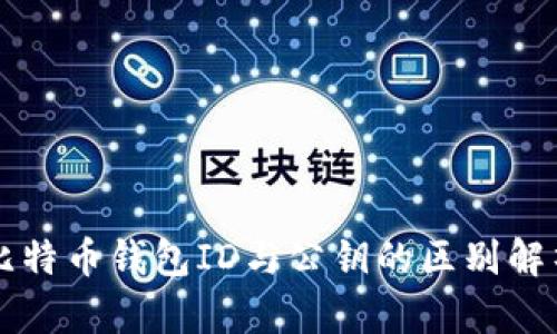 比特币钱包ID与公钥的区别解析