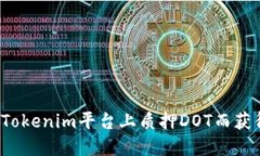如何在Tokenim平台上质押