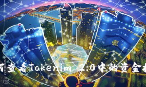 如何查看Tokenim 2.0中的资金授权