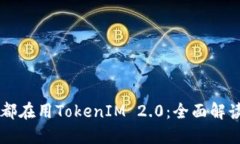 为什么都在用TokenIM 2.0：全