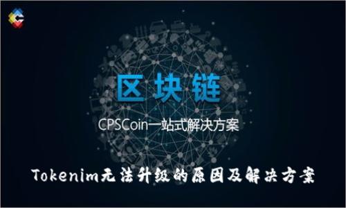 Tokenim无法升级的原因及解决方案