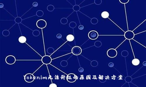 Tokenim无法升级的原因及解决方案
