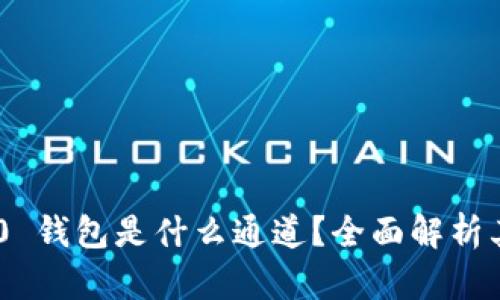 Tokenim 2.0 钱包是什么通道？全面解析其功能与优势