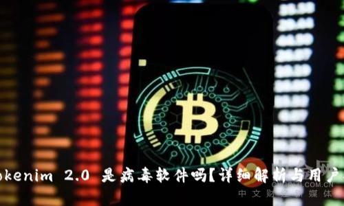 : Tokenim 2.0 是病毒软件吗？详细解析与用户指南