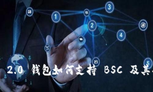 Tokenim 2.0 钱包如何支持 BSC 及其功能详解