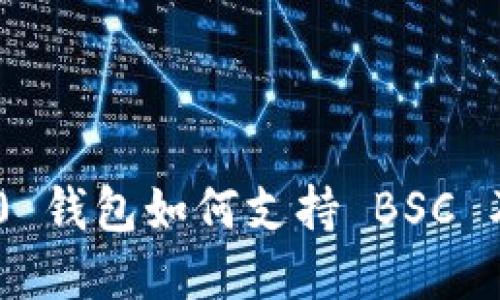 Tokenim 2.0 钱包如何支持 BSC 及其功能详解