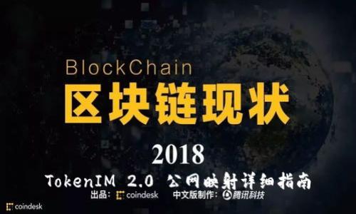 TokenIM 2.0 公网映射详细指南
