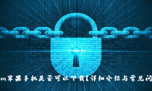 Tokenim苹果手机是否可以下载？详细介绍与常见问题解答