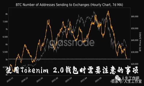 使用Tokenim 2.0钱包时需要注意的事项