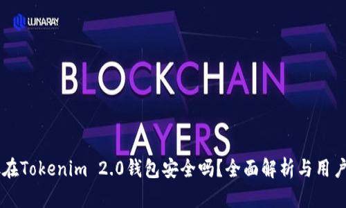 币放在Tokenim 2.0钱包安全吗？全面解析与用户指南