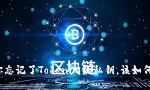 如果你忘记了Tokenim的私钥，该如何找回？