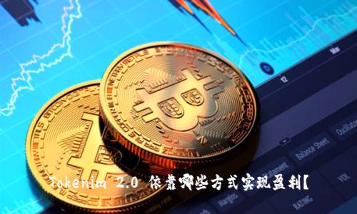 Tokenim 2.0 依靠哪些方式实现盈利？