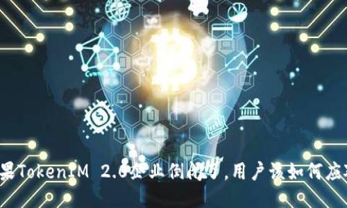 如果TokenIM 2.0企业倒闭了，用户该如何应对？