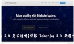 Tokenim 2.0 是公链吗？详解