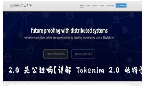 Tokenim 2.0 是公链吗？详解 Tokenim 2.0 的特性与应用