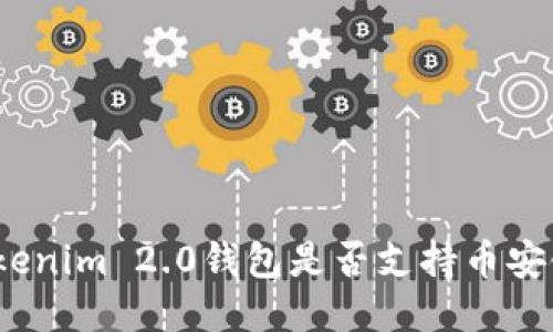 Tokenim 2.0钱包是否支持币安链？