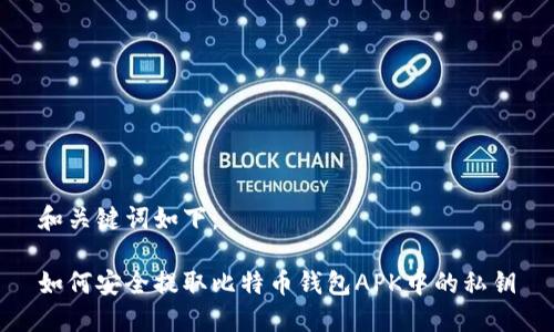 和关键词如下：

如何安全提取比特币钱包APK中的私钥