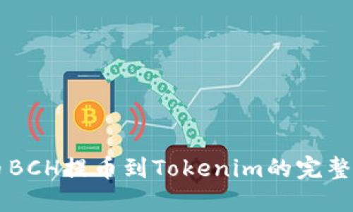 货币BCH提币到Tokenim的完整指南