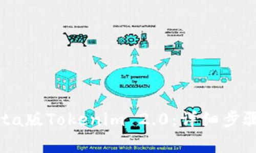 如何下载Beta版Tokenim 2.0：详细步骤和注意事项