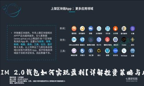 在TokenIM 2.0钱包如何实现盈利？详解投资策略与风险控制