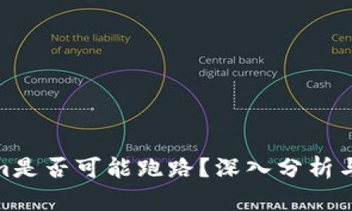 : Tokenim是否可能跑路？深入分析与风险评估